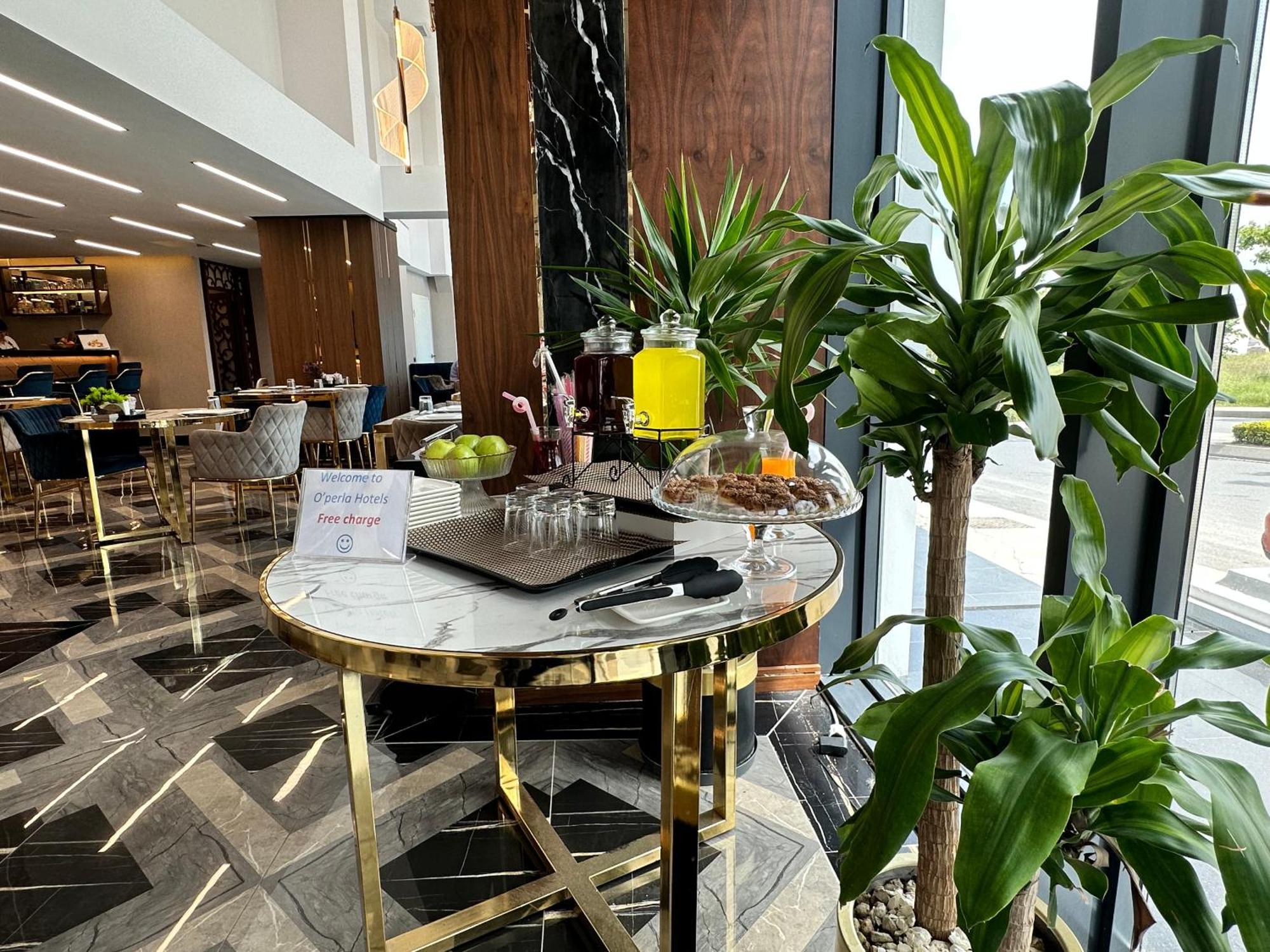 Trademark Collection By Wyndham Operla Airport Hotels Arnavutkoy 외부 사진